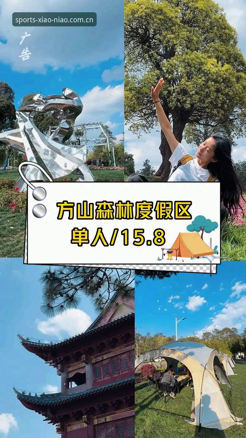 小鸟体育平台使用指南：从下载到直播观赛全流程解析